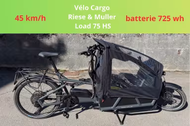 Riese & Müller Dual 75