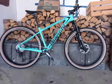 Bianchi Methanol Cv Rs 9.3