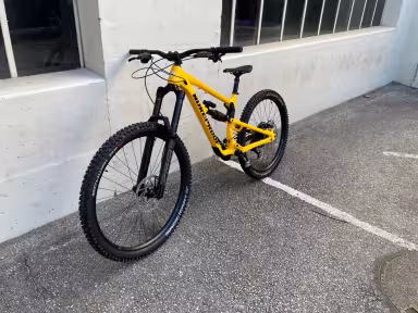 Nukeproof Mega Alloy Pro 297