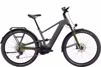 Bulls Iconic Evo Fs !