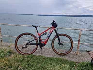 Rock Machine Blizzard E50-29