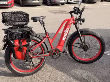 Miloo Might Beast 45 Km/H