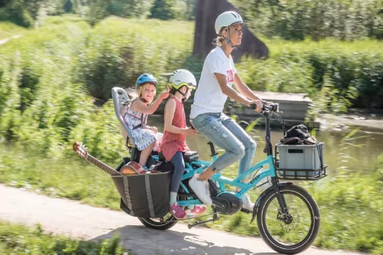 TERN Gsd S10 Cargo Line 500Wh