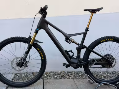 Orbea Rise M10 Custom