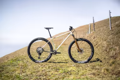 Ricca Cycling Mountain