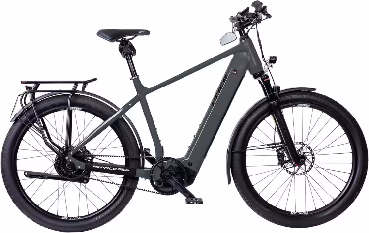 Price E-Speed Diamant I Tube Bosch 45Km/H