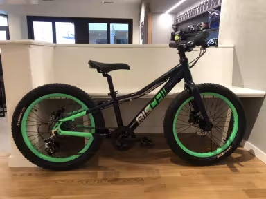 Bischibikes Kids Boy 20"