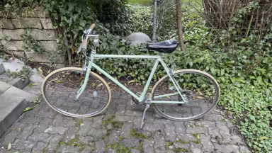 Siech 8Speed Men Urban