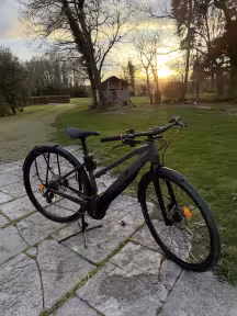 Moustache Friday 28.5