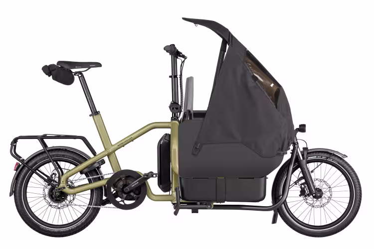 Riese & Müller Carrie Touring