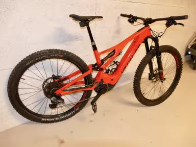 SPECIALIZED Turbo Levo Carbon Custom Made