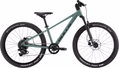 Bulls Tokee Disc 24"