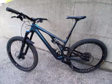 SPECIALIZED Stumpjumper Evo Expert