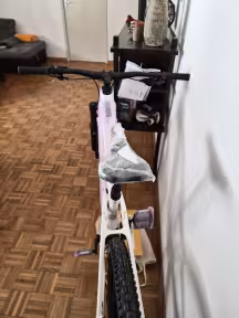 Raymon Trailray 150 Pro