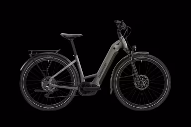 WINORA Yucatan X9 Low I600Wh 9-G Cues