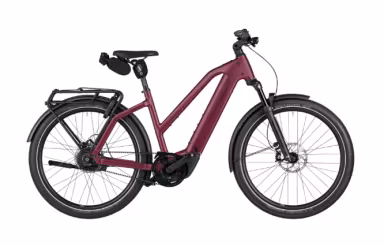 Riese & Müller Charger5 Mixte Vario