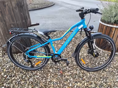 Mustang Appaloosa Sl 24 B