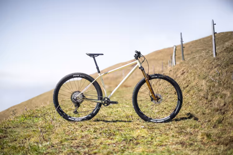 Ricca Cycling Mountain