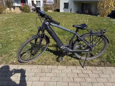 Stevens E-Triton Luxe