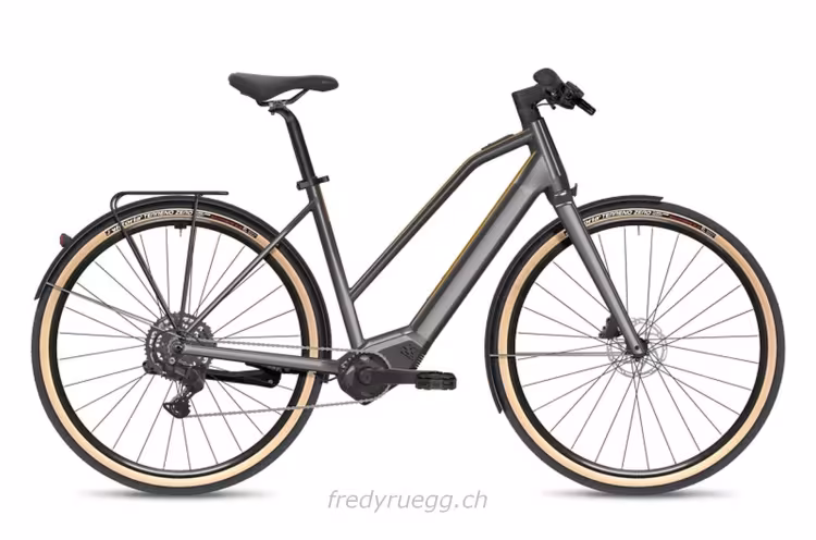 Flyer Upstreet SL 3.10