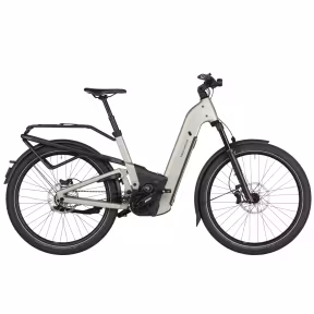 Riese & Müller Homage 5 Gt Pinion