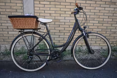 Stevens Albis  Forma