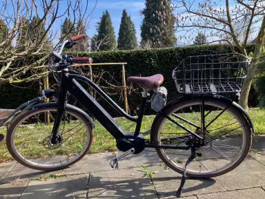 Ego Movement Cleopatra 2.0