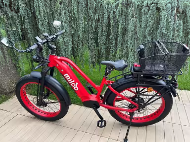 Miloo Mighty Beast 45 Km/H