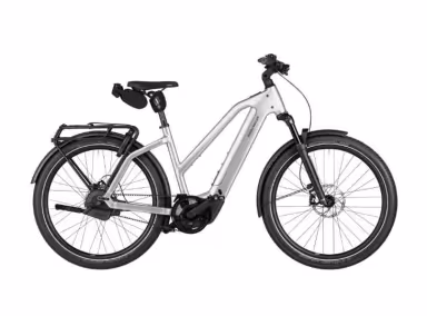 Riese & Müller E-Bike