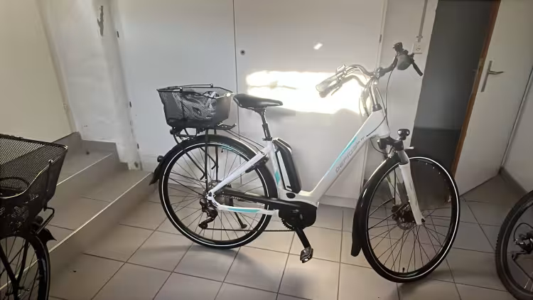 Gepida Reptila Disc 1000 CH