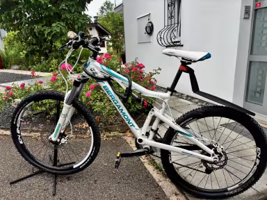 Bergamont Evolve 4.1