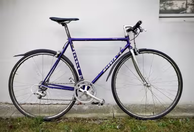 Mondia Corsa