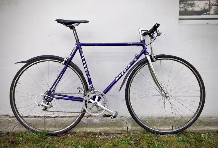Mondia Corsa