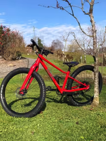 BMC Twostroke Al V2 24"