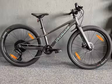 SPECIALIZED Riprock 24
