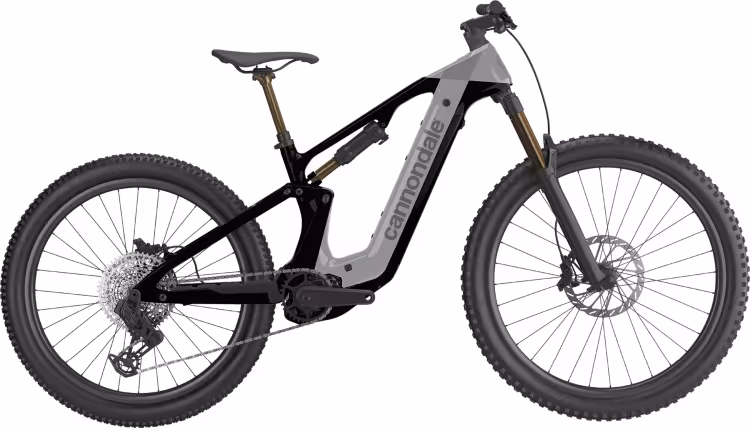 Cannondale Moterra 1