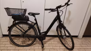 Giant Hybrid E + 1 Lds