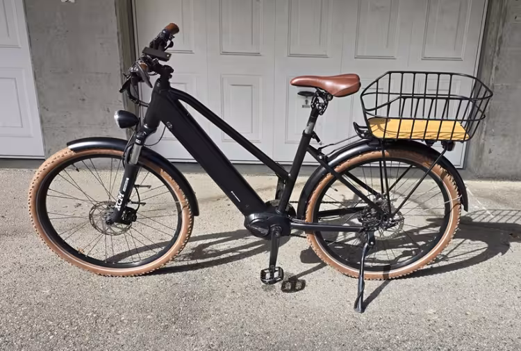 Ego Movement Ego Jane 2.5