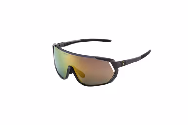 GIANT Brille / AGOS - Grau / Gold