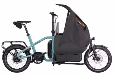 Riese & Müller Carrie Vario