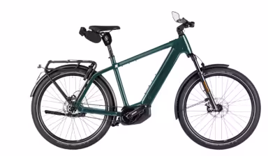 Riese & Müller Charger