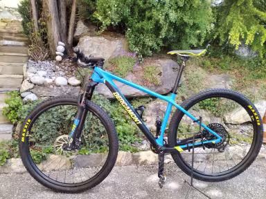 Bergamont Revox Team 2019