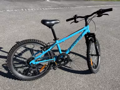 Leopard Fast Cat 20“