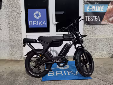 Molenstraat Fatbikes Dapper Pro