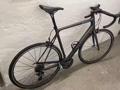 Canyon Endurace Cf 9.0 Sl