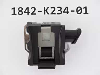 GIANT Akkuschloss / TORX Verschluss ab MY21