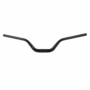 Ergotec Riser Bar 100 | 31.8 MTB-Velo-Lenker