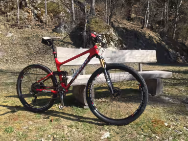 TREK E-Caliber 9.6, 2021