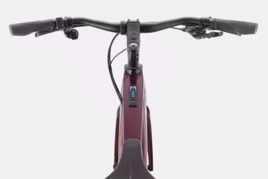 Cannondale Tesoro Carbon 3