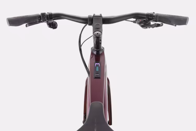 Cannondale Tesoro Carbon 3